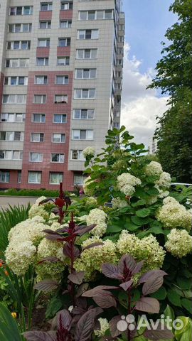 

1-к. квартира, 45 м², 2 кровати