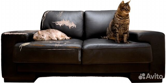 Ремонт Перетяжка Реставрация Мебели