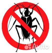 Дезинсекция