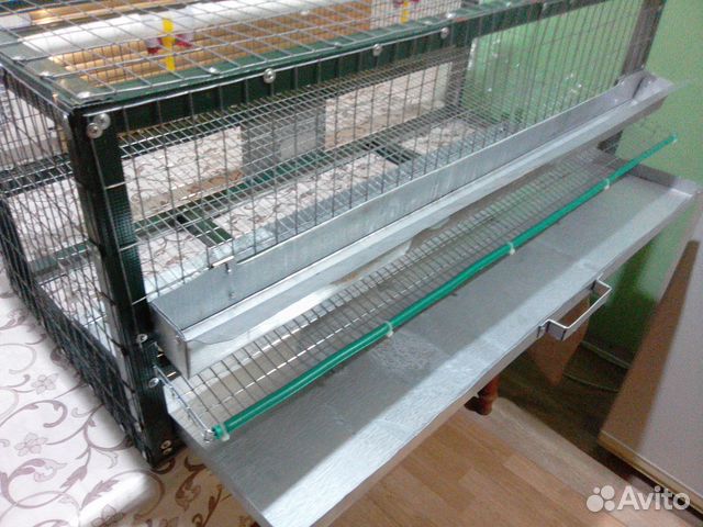 Клетка для перепелов