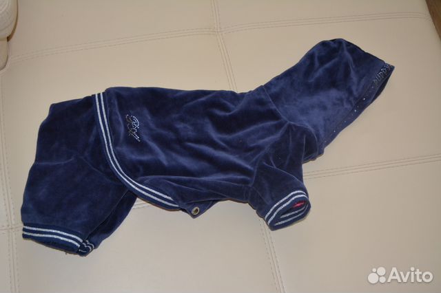 Костюм для маленьких собак