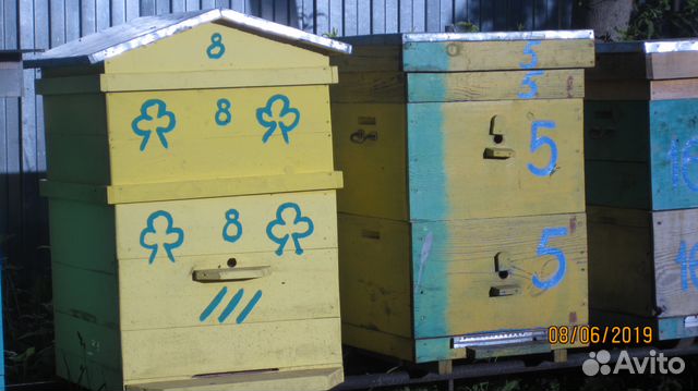 Улья для пчел купить на Зозу.ру - фотография № 3