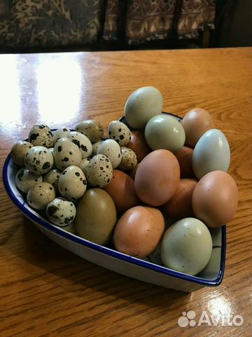 Яйца перепелиные и куриные