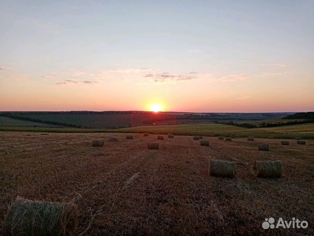 Сено в тюках