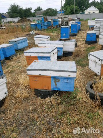 Улья лежаки,суш для пчёл купить на Зозу.ру - фотография № 2