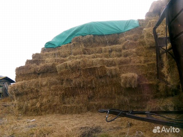 Купить Тюки Сена В Волгоградской Области