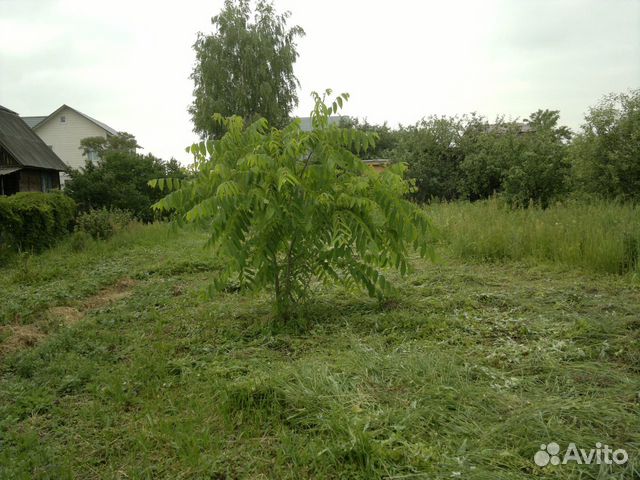 Дача 60 м² на участке 15 сот. Дача 60 м² на участке 15 сот.