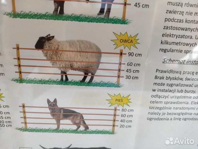 Электропастухи доя овец до 18км купить на Зозу.ру - фотография № 4