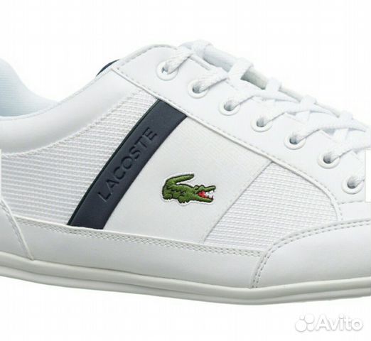 lacoste chaymon 319