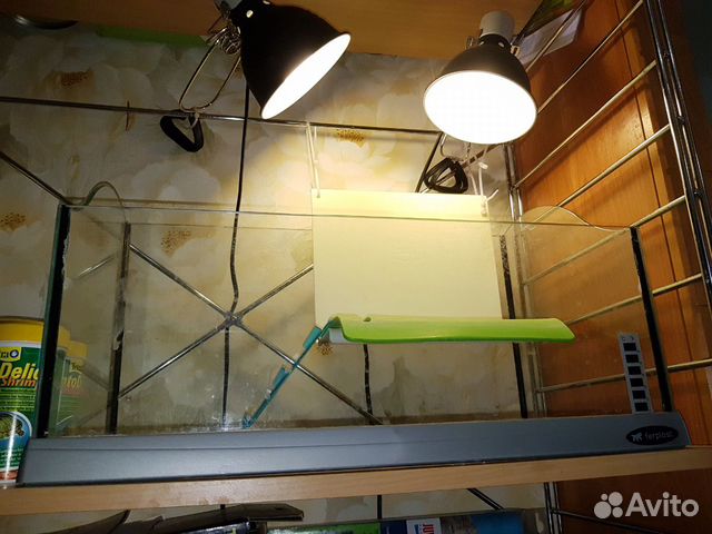 Террариум (аквариум) оборудованный для черепах и з Террариум (аквариум) оборудованный для черепах и з