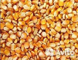 Кукуруза. пшеница. ячмень. комбикорм купить на Зозу.ру - фотография № 1