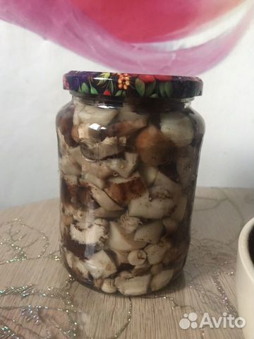 Грибы Грибы