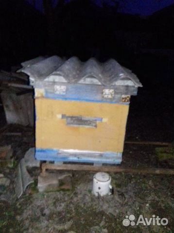 Ульи для пчел и др. сопутствующие товары купить на Зозу.ру - фотография № 2