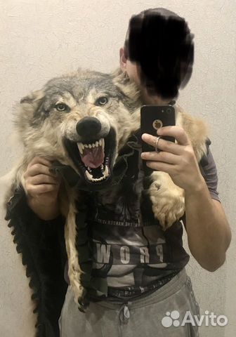 Шкура волка