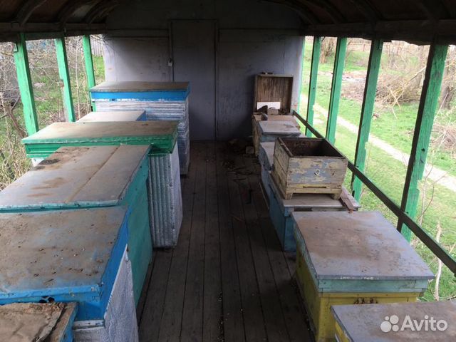 Павильон для пчёл с ульями купить на Зозу.ру - фотография № 2