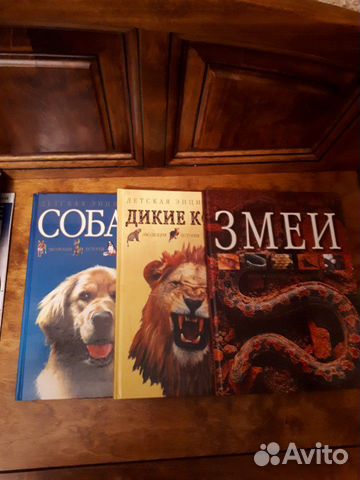 Детская энциклопедия Собаки,Дикие кошки,Змеи Детская энциклопедия Собаки,Дикие кошки,Змеи