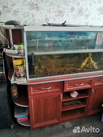 Продаю аквариум с тумбой купить на Зозу.ру - фотография № 1