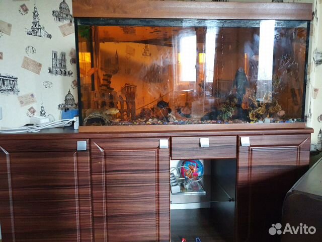 Аквариум с рыбками 300л