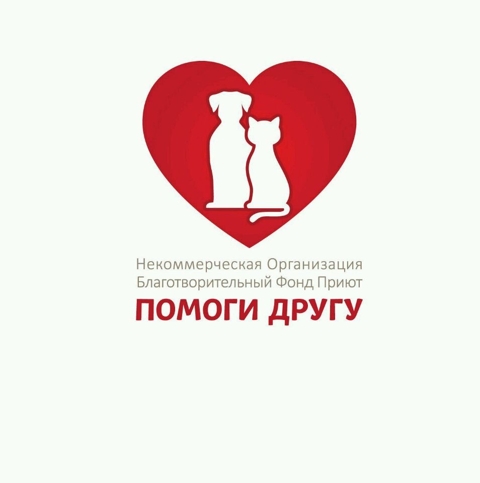 Поможем животным вместе картинки