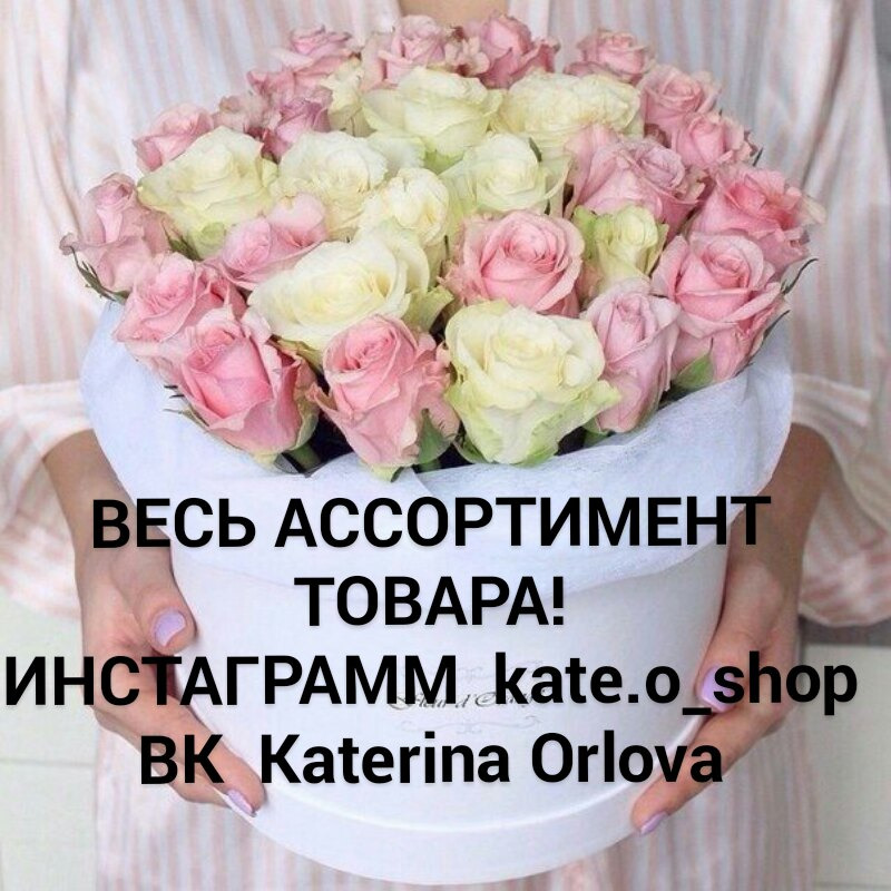 Kate shop