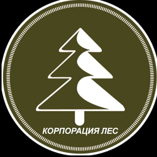 Ооо "лес компания". Лесная компания ооо. Лесная корпорация. Резной палисад вологда логотип. Лесная корпорация.