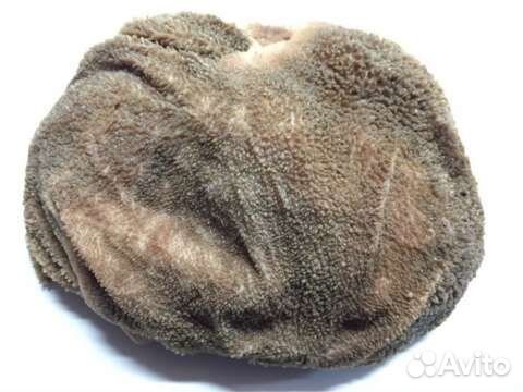 Мясо для собак Сертолово