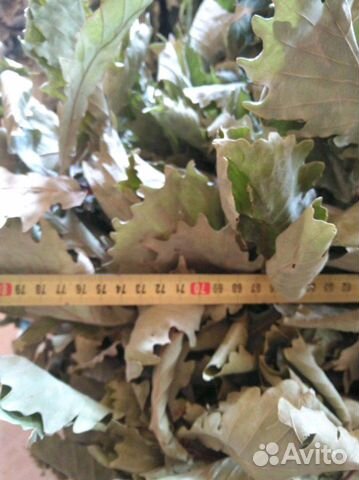 Веники дубовые