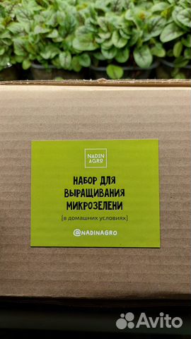Набор для выращивания микрозелени