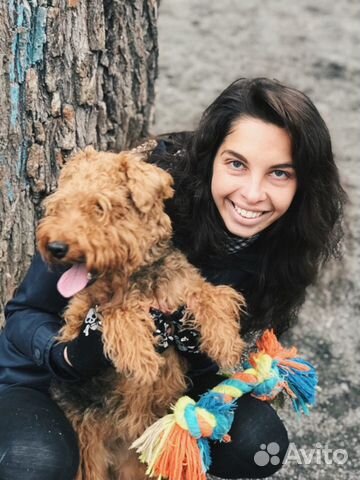 Передержка собак для тревожных хозяев