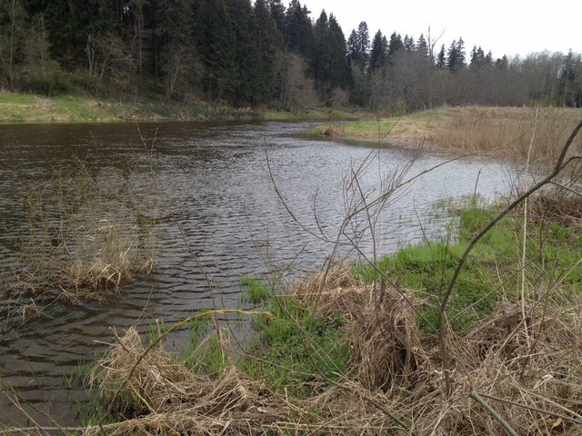 Участок 37,5 сот. (СНТ, ДНП)