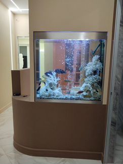 Обслуживание, перезапуск, перевозка аквариумов