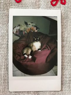 Аренда полароида Fujifilm Instax Mini