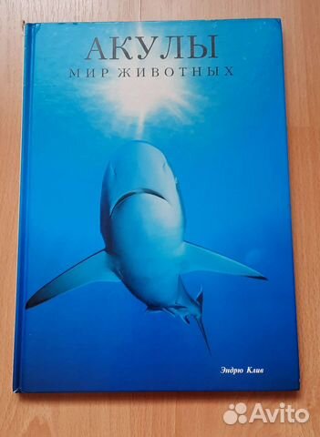 Эндрю Клив Акулы Мир животных