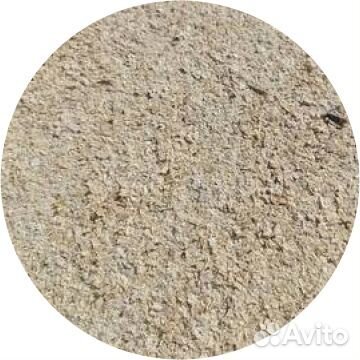 Мучка Ячменная Кормовая