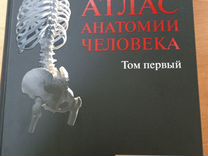 Атлас по анатомии человека синельников