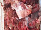 Мясо говядина на корм для животных