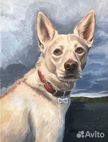 Портрет питомца маслом на заказ