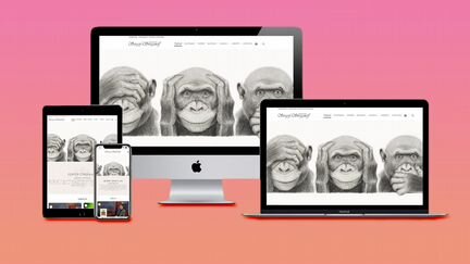 Создаём красивые и функциональные сайты