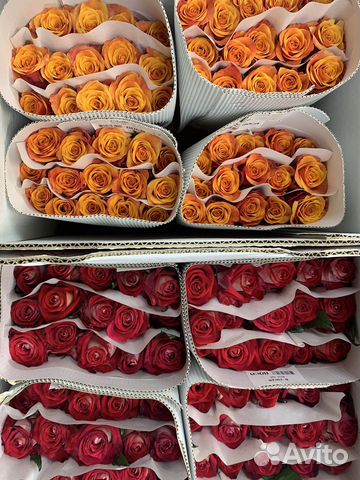 Цветы розы оптом, 101 роза, 51 роза