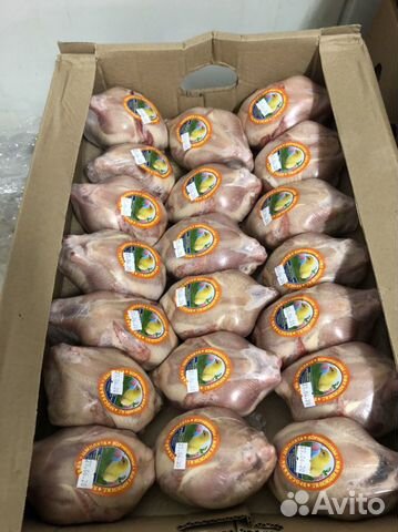 Цыплята бройлеры мясо