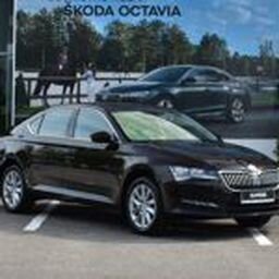 Млада авто skoda