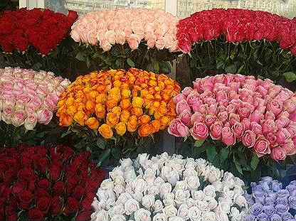 в цветочном магазине купили 15 цветов розы. красивый букет дома. в цветочном магазине купили 15 цветов розы. склад цветов. букет из 15 роз эксперианса.