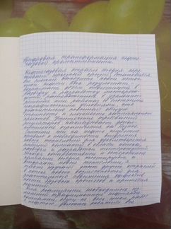 Наборщик текста