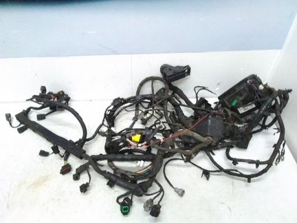 Проводка коса Kia Rio 3 2011-2017