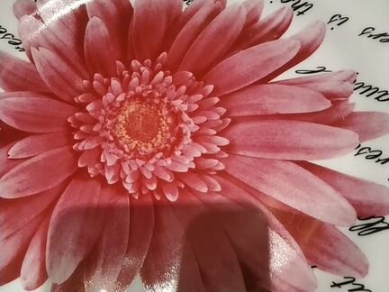 Тарелка коллекционная