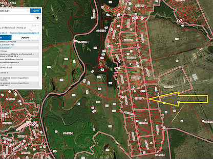 Карта нелжа воронежской области