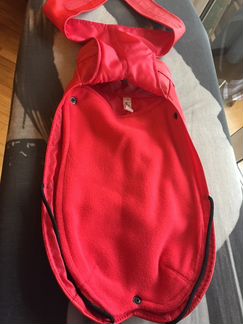 Одежда для собаки