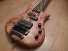 Warwick Thumb 5 Dirty Blonde Limited Edition