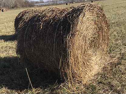 скирда и зарод. сено н 1. сено н 1. солома для детей. сено люцерны тюк прямоугольный.