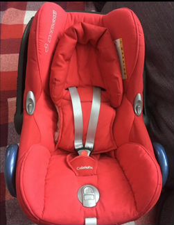 Махiсоsi Саbriоfiх